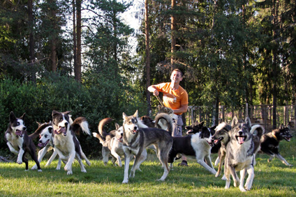 Auf der gemeinsamen Jagd nach dem Stock.