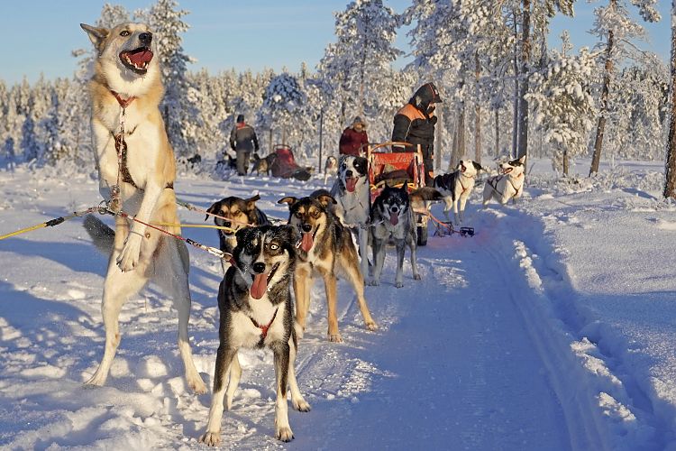 Quickstep dauert die Pause viiiiel zu lang!