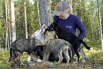 Liv lockt die kleinen Huskys mit einer leckeren Paste für die Vierbeiner