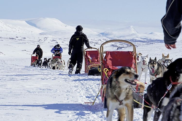 Expedition Storfjället