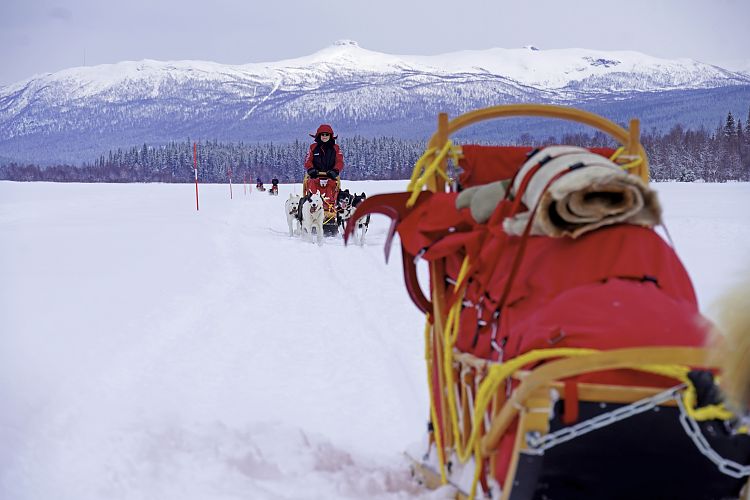 Expedition Vindelfjällen