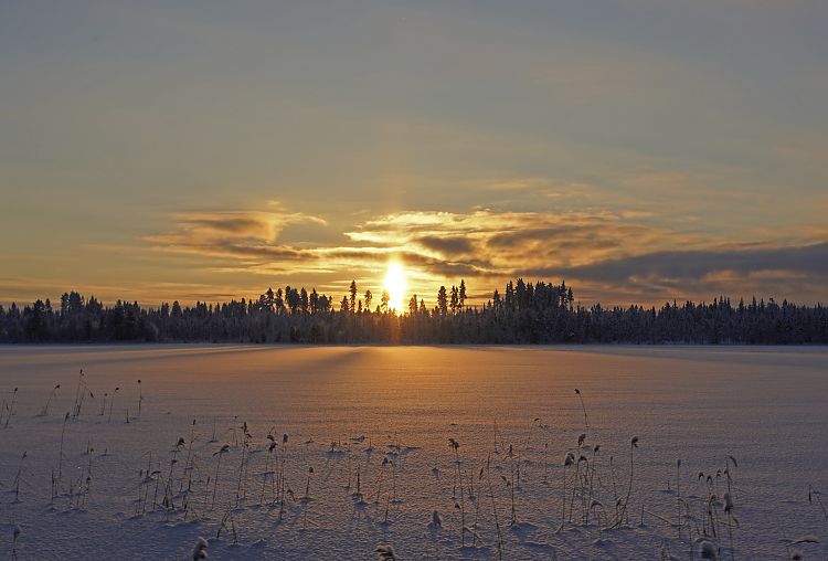 Huskyerlebnis Saisonbeginn