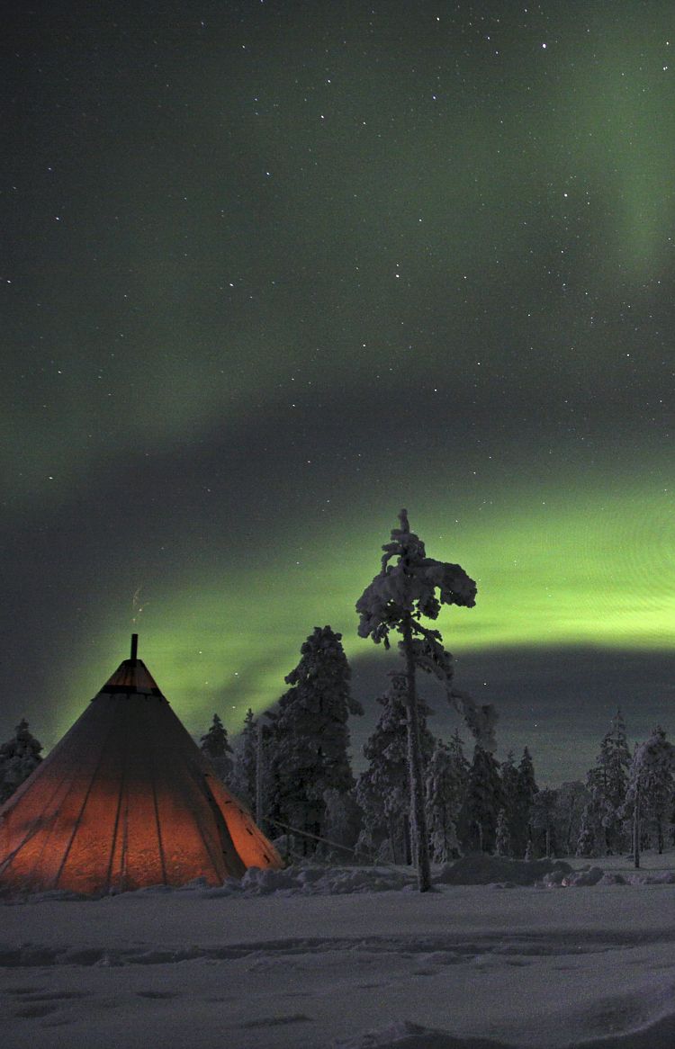 Huskytour Polarlicht - Nordlichter verzaubern den sternenklaren Nachthimmel