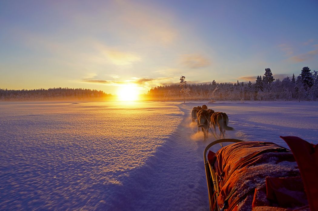 Hundeschlittentour zur Weihnachtszeit - die Sonne schaut nur noch kurz über den Horizont