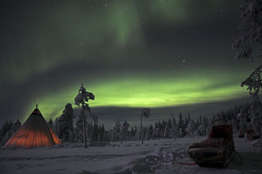 Huskytour Polarlicht - Nordlichter verzaubern den sternenklaren Nachthimmel