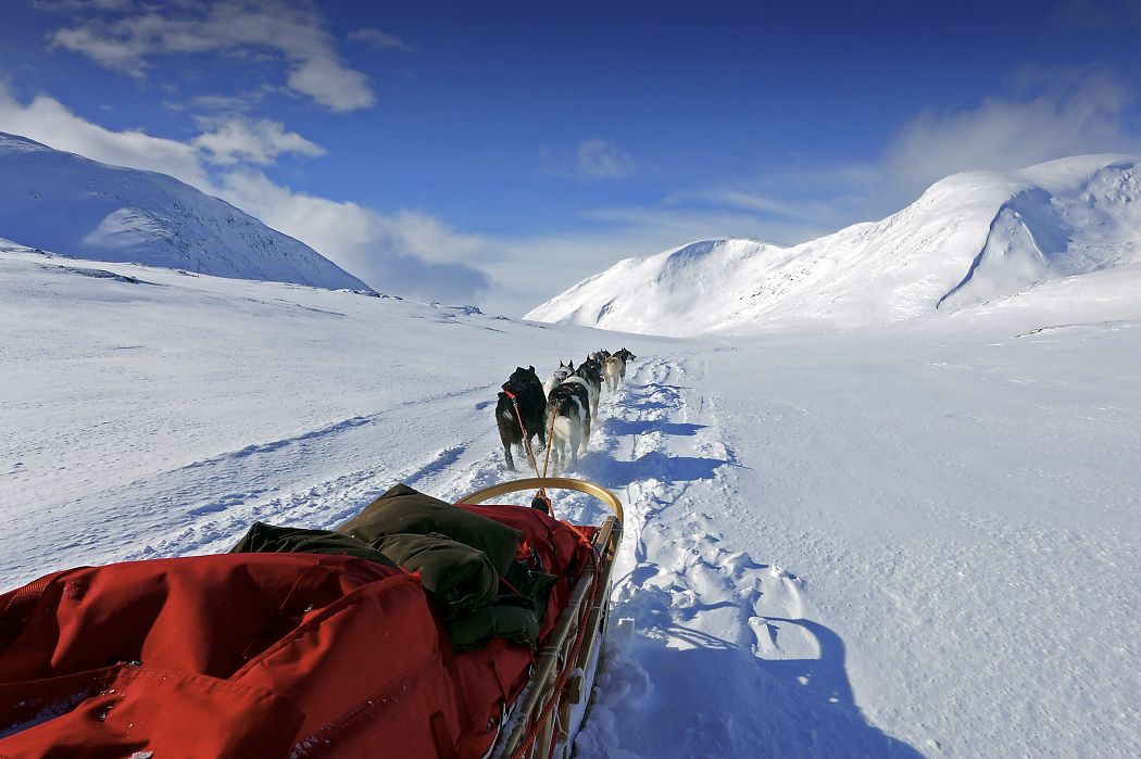 Hundeschlittenexpedition Storfjället - Mit dem Hundeschlitten durch die Bergwelt