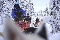 Tiefverschneite Wälder wie in einem Wintermärchen