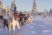 Mit den Huskys unterwegs durch die weite Taiga